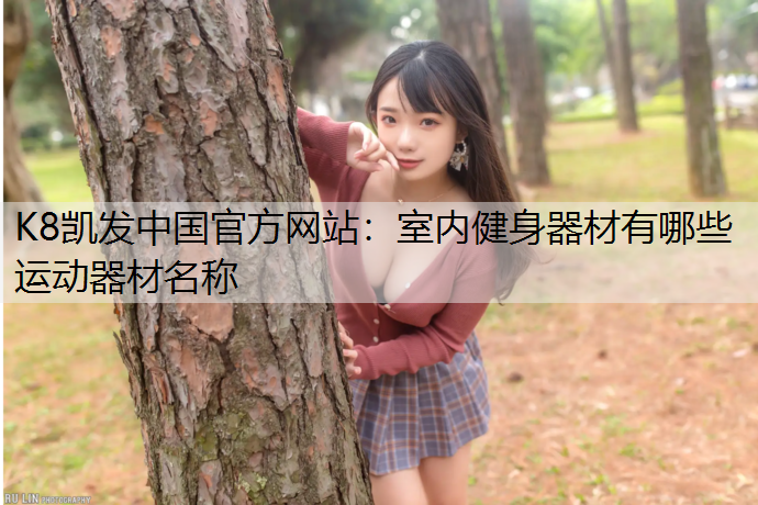 K8凯发中国官方网站：室内健身器材有哪些运动器材名称