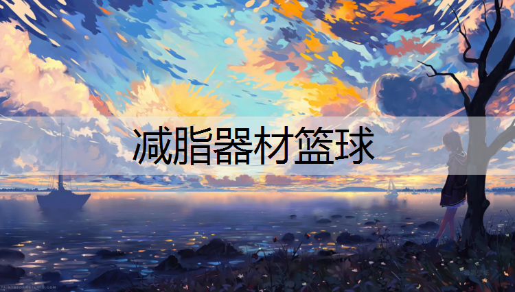 减脂器材篮球