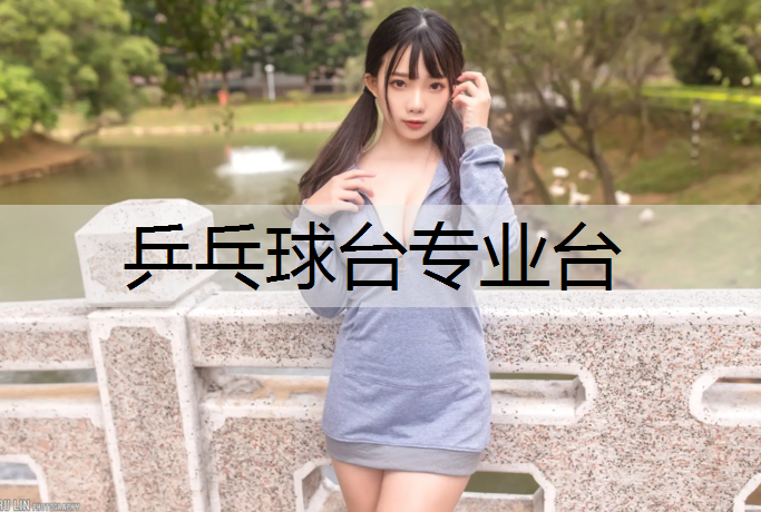 乒乓球台专业台