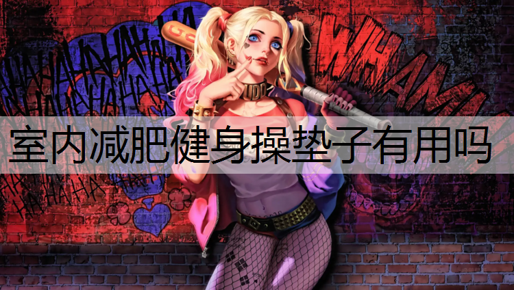 室内减肥健身操垫子有用吗