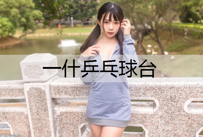 一什乒乓球台