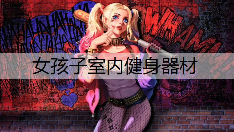 女孩子室内健身器材