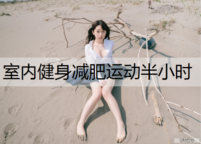 室内健身减肥运动半小时