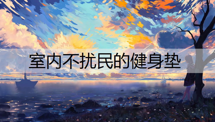 室内不扰民的健身垫