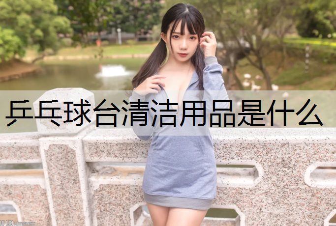 乒乓球台清洁用品是什么