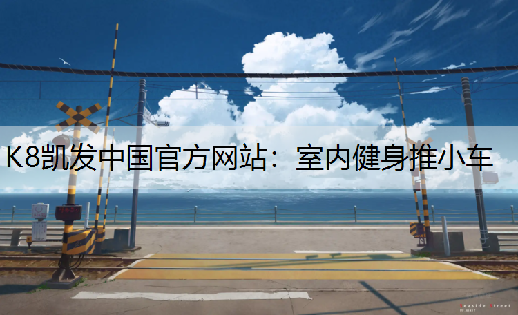 K8凯发中国官方网站：室内健身推小车