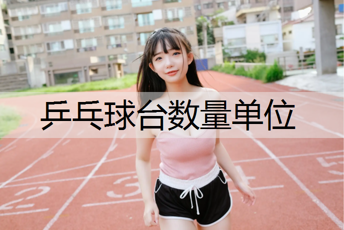 乒乓球台数量单位