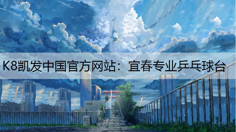 宜春专业乒乓球台