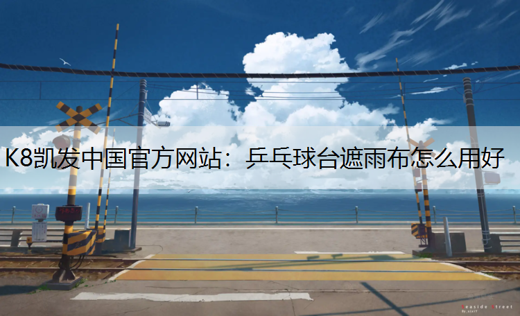 乒乓球台遮雨布怎么用好