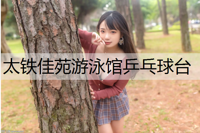太铁佳苑游泳馆乒乓球台
