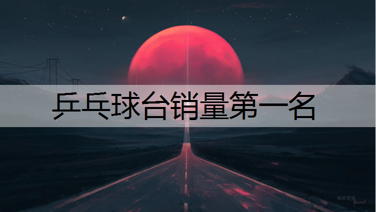 乒乓球台销量第一名
