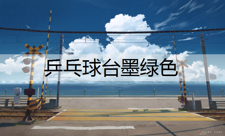 乒乓球台墨绿色