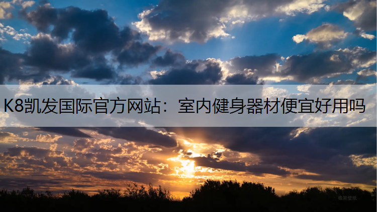 室内健身器材便宜好用吗